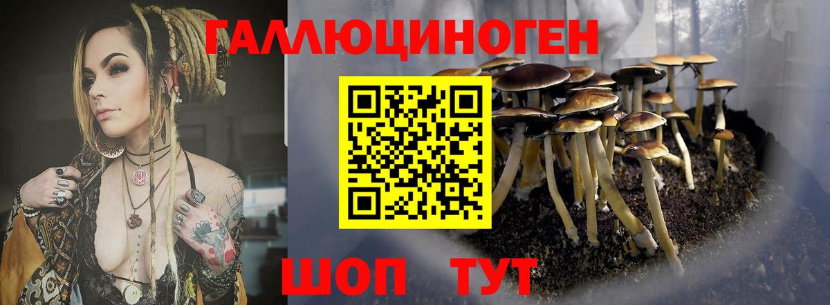 Псилоцибиновые грибы GOLDEN TEACHER  Галлюциногенные грибы мухоморы  Вход с VPN  Воронеж 